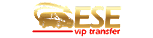 Footer Logo