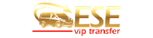 Footer Logo